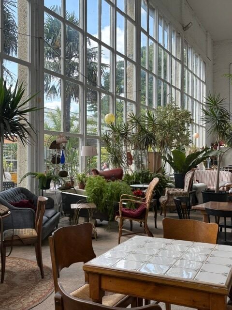 the orangerie cafe in Lille